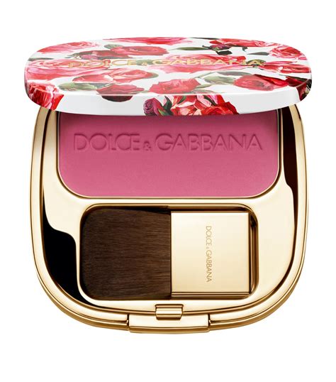 dolce gabbana professional blush.